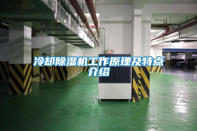 冷卻除濕機(jī)工作原理及特點介紹