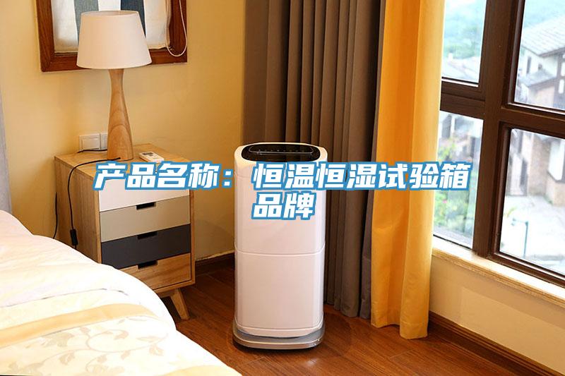 產(chǎn)品名稱(chēng)：恒溫恒濕試驗(yàn)箱品牌