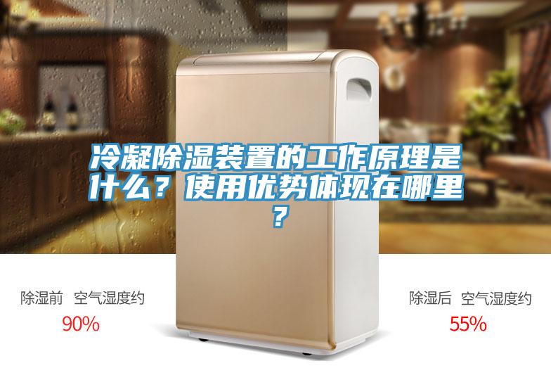 冷凝除濕裝置的工作原理是什么？使用優(yōu)勢體現(xiàn)在哪里？