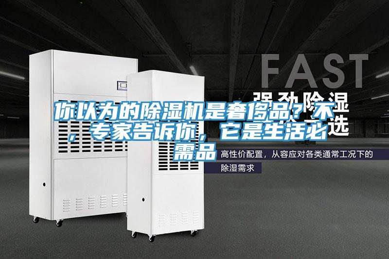 你以為的除濕機是奢侈品？不，專家告訴你，它是生活必需品