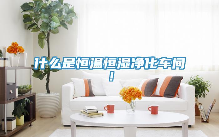 什么是恒溫恒濕凈化車間！