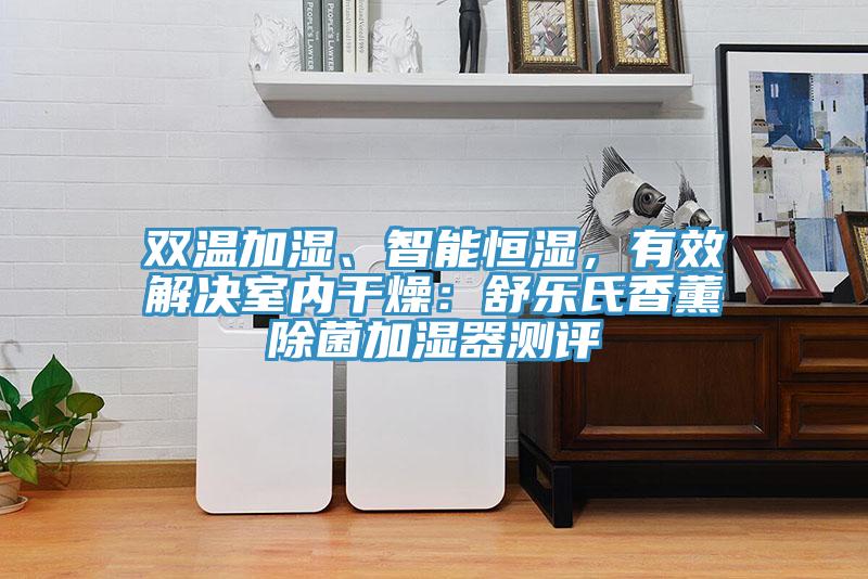 雙溫加濕、智能恒濕，有效解決室內(nèi)干燥：舒樂氏香薰除菌加濕器測(cè)評(píng)