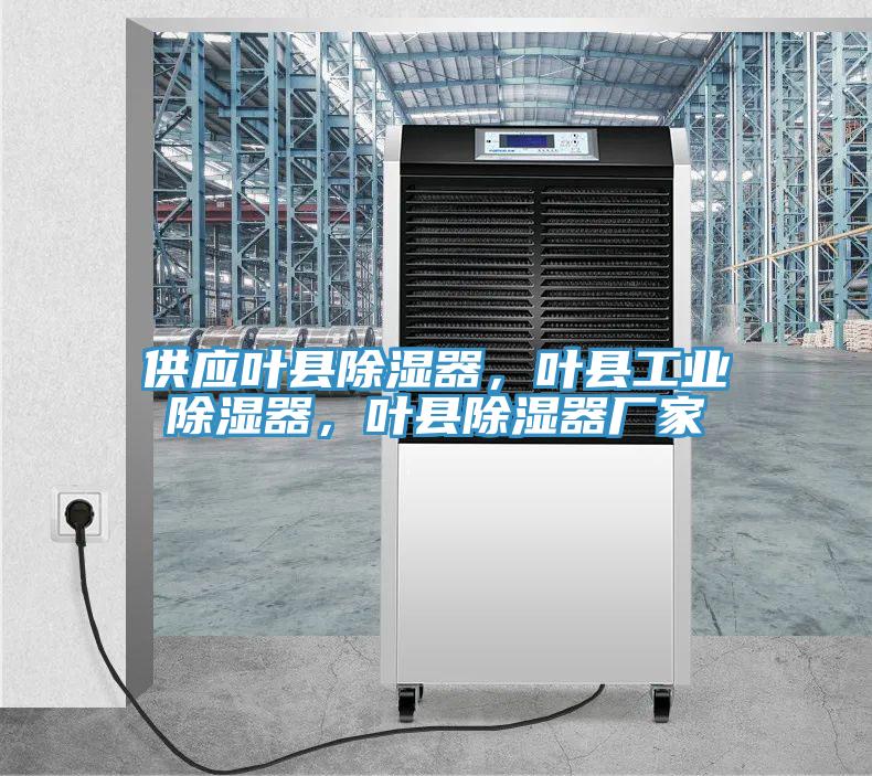 供應(yīng)葉縣除濕器，葉縣工業(yè)除濕器，葉縣除濕器廠(chǎng)家