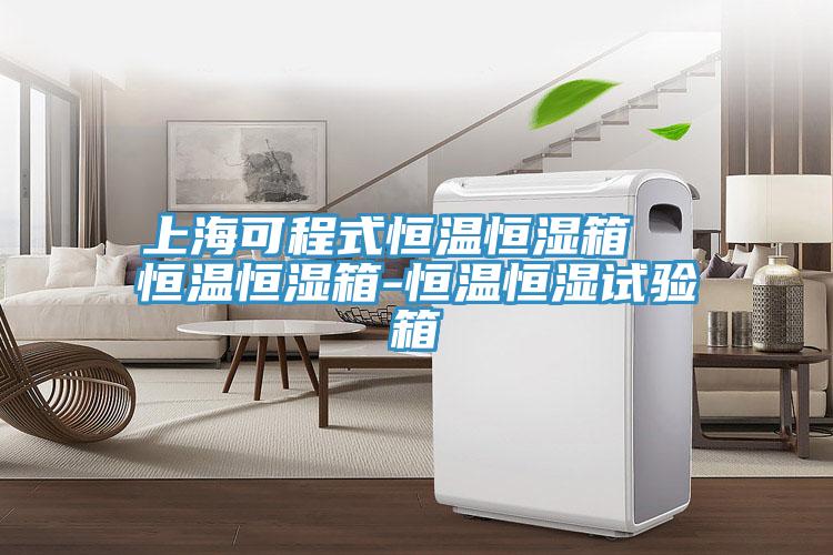上?？沙淌胶銣睾銤裣? 恒溫恒濕箱-恒溫恒濕試驗(yàn)箱