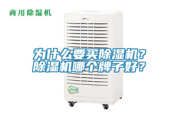 為什么要買除濕機？除濕機哪個牌子好？