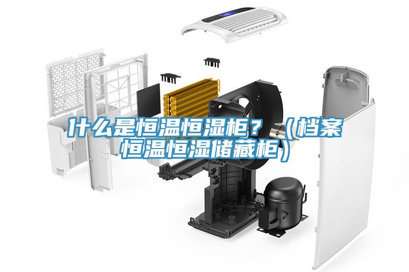 什么是恒溫恒濕柜？（檔案恒溫恒濕儲藏柜）