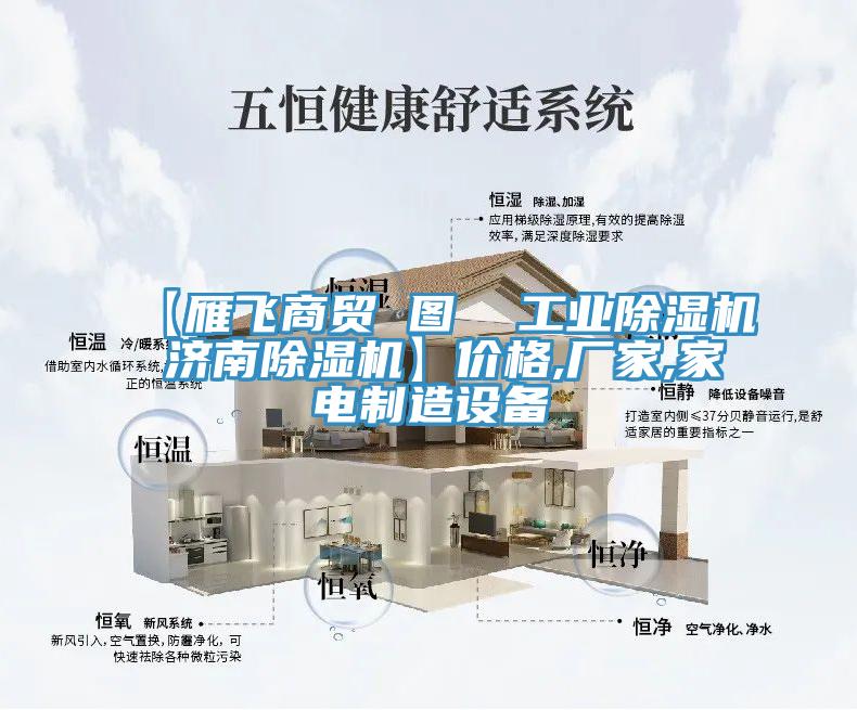 【雁飛商貿(mào) 圖  工業(yè)除濕機(jī) 濟(jì)南除濕機(jī)】價格,廠家,家電制造設(shè)備