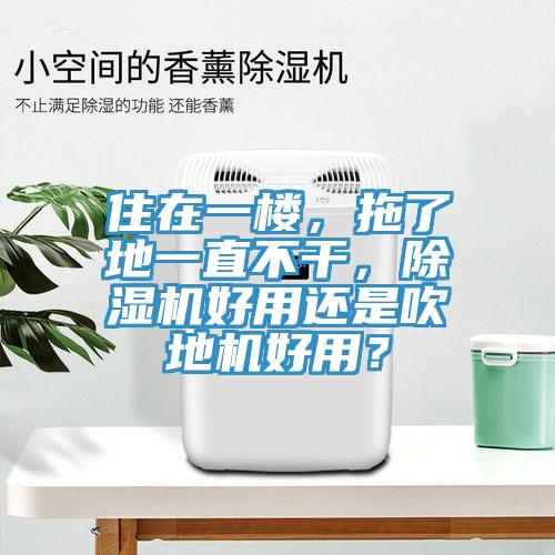 住在一樓，拖了地一直不干，除濕機(jī)好用還是吹地機(jī)好用？