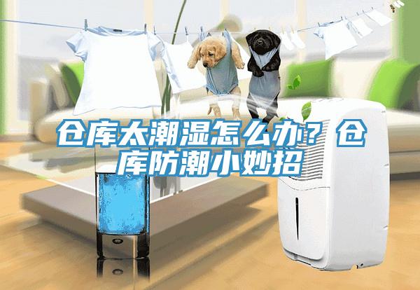 倉庫太潮濕怎么辦？倉庫防潮小妙招