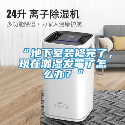 “地下室裝修完了，現(xiàn)在潮濕發(fā)霉了怎么辦？”