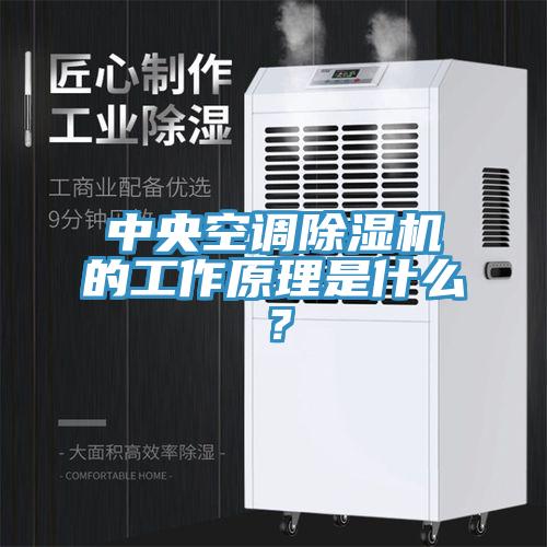 中央空調(diào)除濕機(jī)的工作原理是什么？