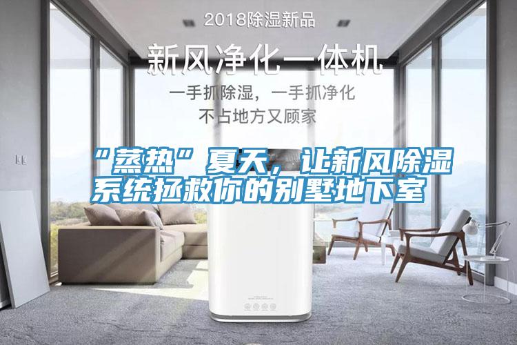 “蒸熱”夏天，讓新風(fēng)除濕系統(tǒng)拯救你的別墅地下室