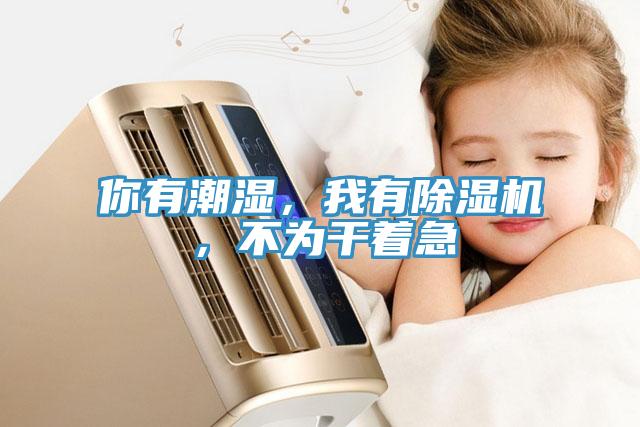 你有潮濕，我有除濕機，不為干著急