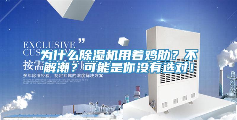 為什么除濕機用著雞肋？不解潮？可能是你沒有選對！