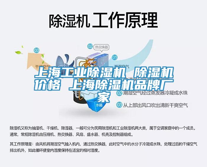 上海工業(yè)除濕機(jī) 除濕機(jī)價格 上海除濕機(jī)品牌廠家