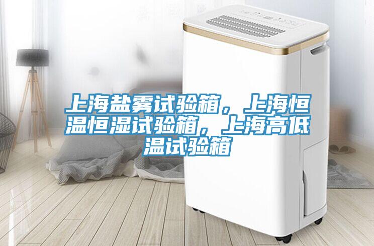 上海鹽霧試驗箱，上海恒溫恒濕試驗箱，上海高低溫試驗箱