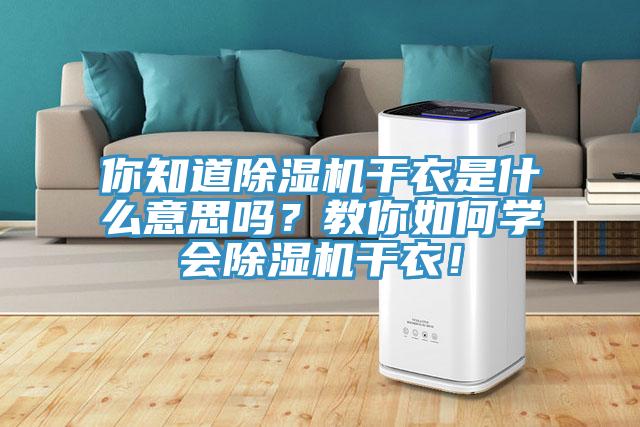 你知道除濕機干衣是什么意思嗎？教你如何學(xué)會除濕機干衣！