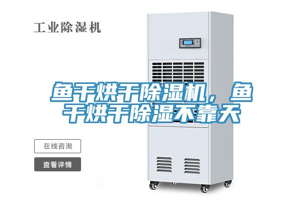 魚干烘干除濕機(jī)，魚干烘干除濕不靠天