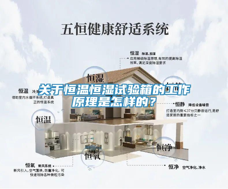 關(guān)于恒溫恒濕試驗(yàn)箱的工作原理是怎樣的？