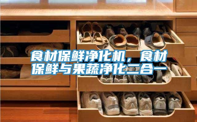 食材保鮮凈化機，食材保鮮與果蔬凈化二合一