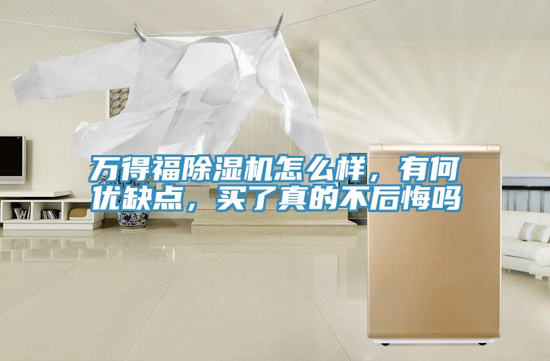 萬得福除濕機怎么樣，有何優(yōu)缺點，買了真的不后悔嗎