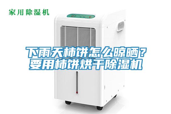 下雨天柿餅怎么晾曬？要用柿餅烘干除濕機