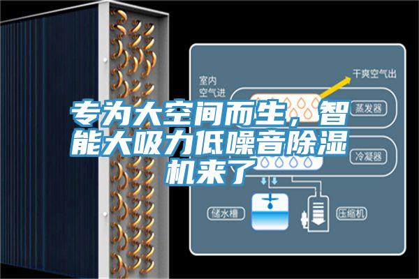 專為大空間而生，智能大吸力低噪音除濕機來了