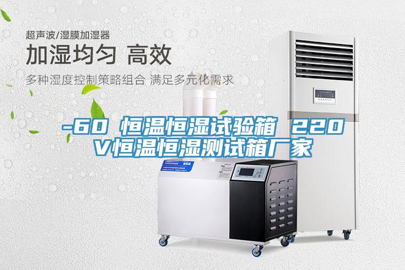 -60℃恒溫恒濕試驗(yàn)箱 220V恒溫恒濕測(cè)試箱廠(chǎng)家