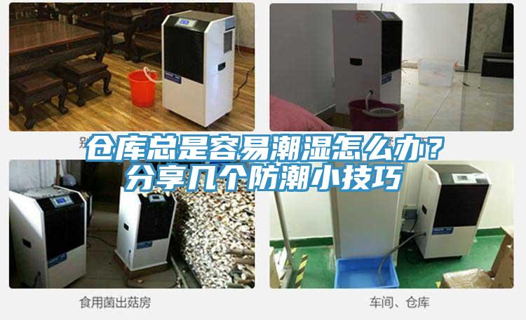 倉(cāng)庫(kù)總是容易潮濕怎么辦？分享幾個(gè)防潮小技巧