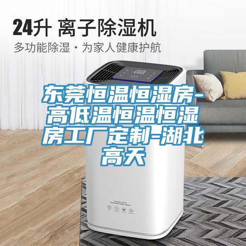 東莞恒溫恒濕房-高低溫恒溫恒濕房工廠(chǎng)定制-湖北高天
