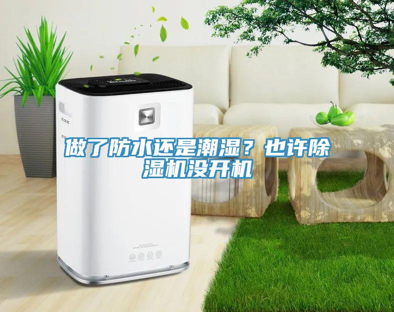 做了防水還是潮濕？也許除濕機沒開機
