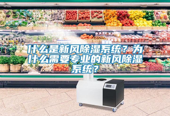 什么是新風(fēng)除濕系統(tǒng)？為什么需要專業(yè)的新風(fēng)除濕系統(tǒng)？