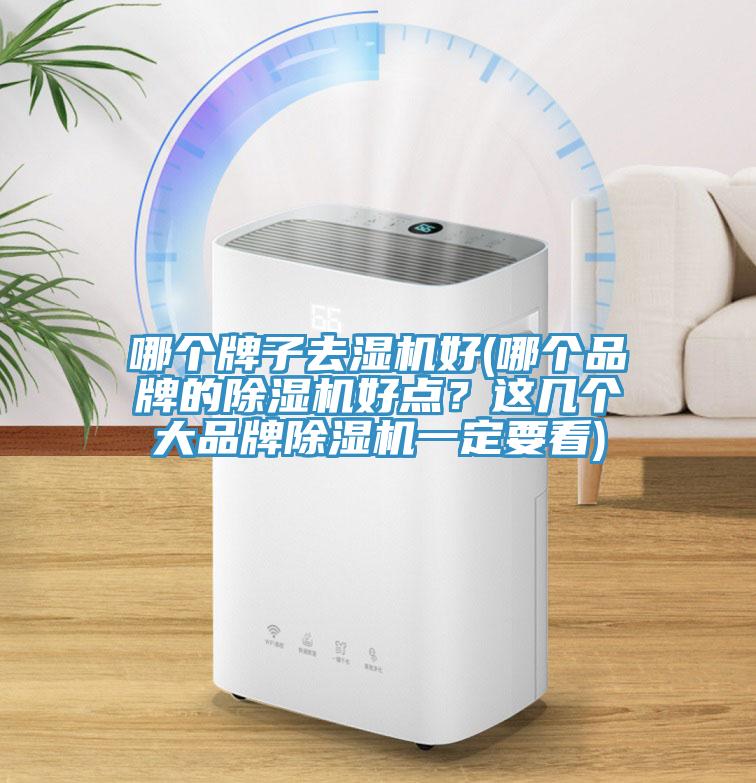 哪個(gè)牌子去濕機(jī)好(哪個(gè)品牌的除濕機(jī)好點(diǎn)？這幾個(gè)大品牌除濕機(jī)一定要看)
