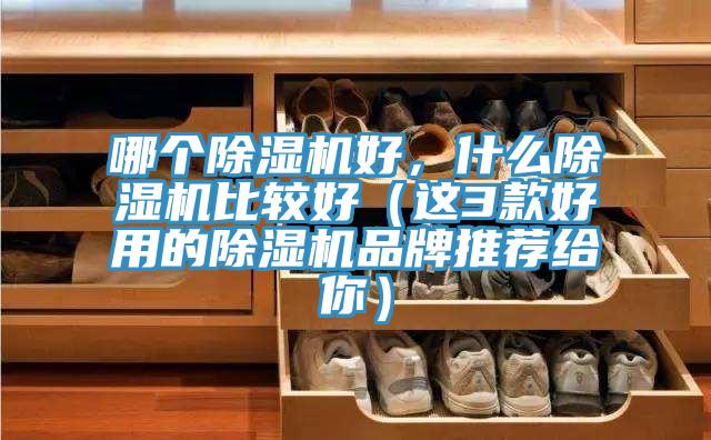 哪個(gè)除濕機(jī)好，什么除濕機(jī)比較好（這3款好用的除濕機(jī)品牌推薦給你）
