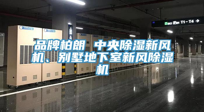 品牌柏朗 中央除濕新風(fēng)機(jī)、別墅地下室新風(fēng)除濕機(jī)