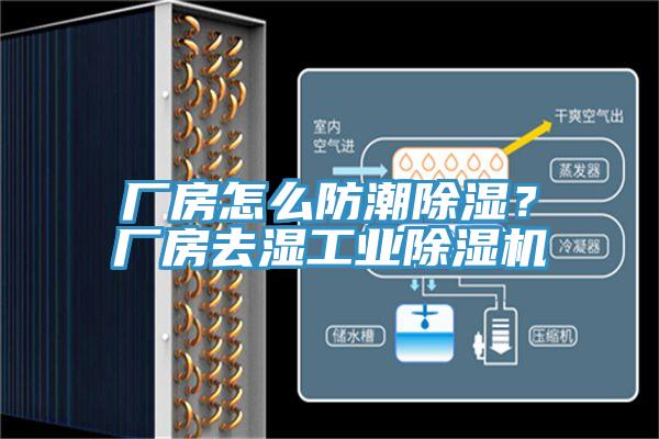 廠房怎么防潮除濕？廠房去濕工業(yè)除濕機(jī)