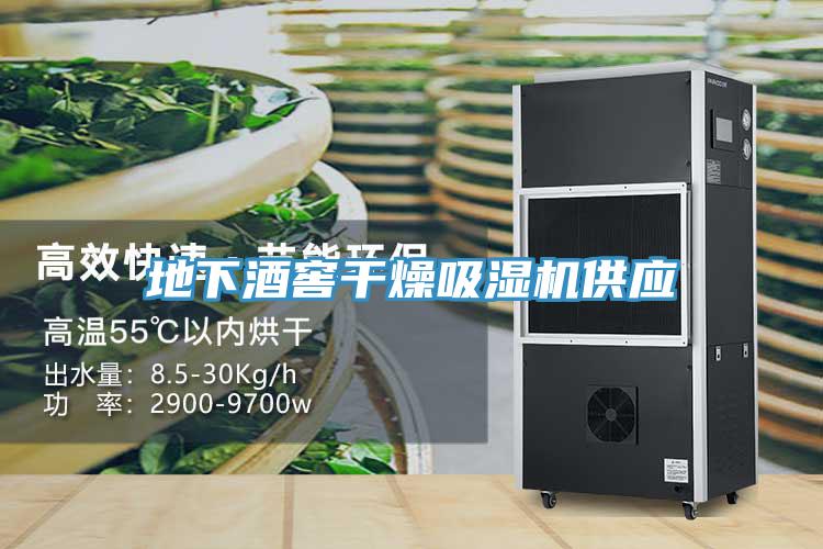 地下酒窖干燥吸濕機供應(yīng)