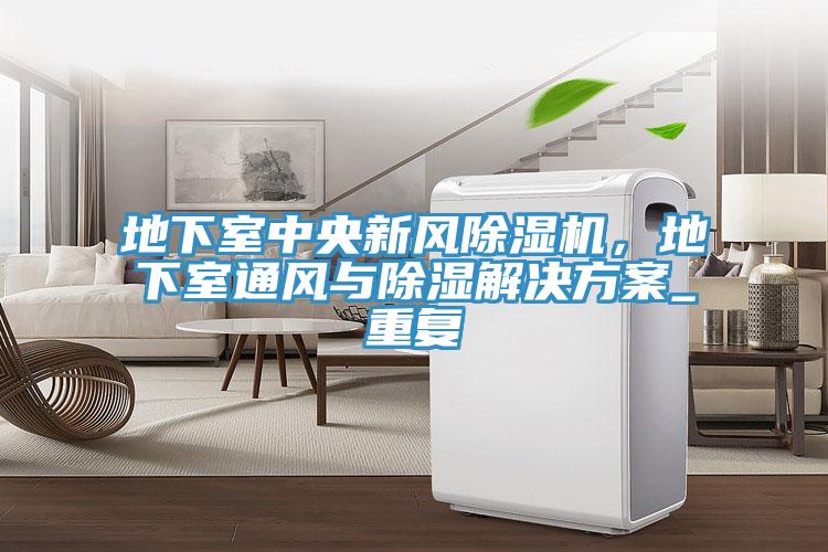 地下室中央新風(fēng)除濕機(jī)，地下室通風(fēng)與除濕解決方案_重復(fù)