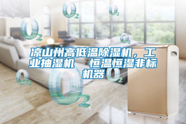 涼山州高低溫除濕機(jī)，工業(yè)抽濕機(jī)  恒溫恒濕非標(biāo)機(jī)器
