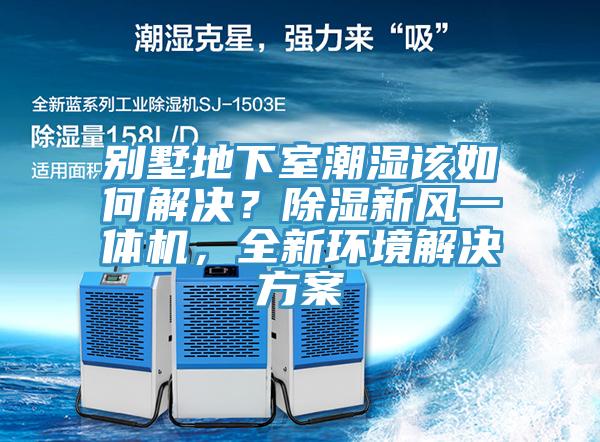 別墅地下室潮濕該如何解決？除濕新風(fēng)一體機，全新環(huán)境解決方案