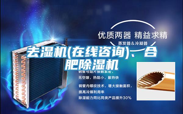 去濕機(在線咨詢)、合肥除濕機