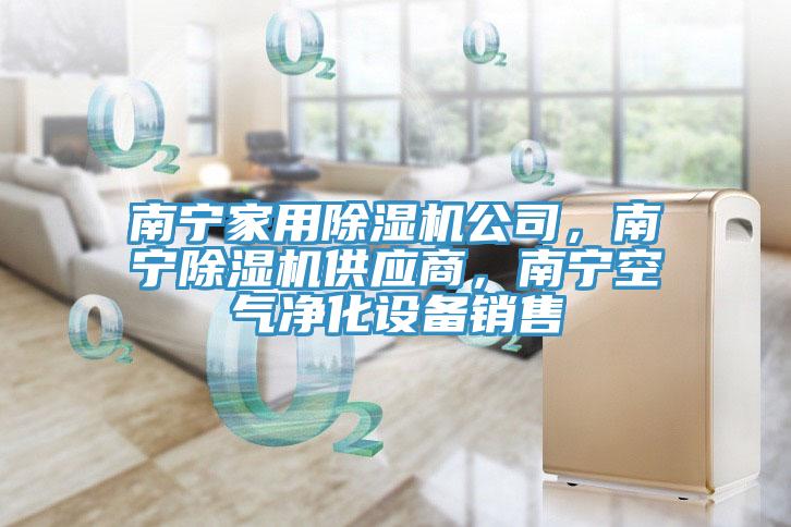 南寧家用除濕機公司，南寧除濕機供應商，南寧空氣凈化設備銷售