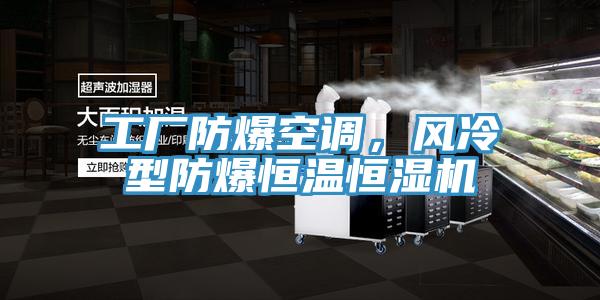 工廠防爆空調(diào)，風(fēng)冷型防爆恒溫恒濕機