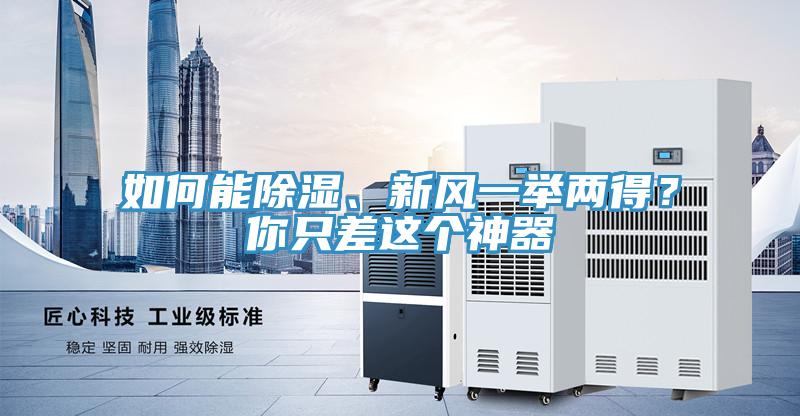如何能除濕、新風(fēng)一舉兩得？你只差這個(gè)神器