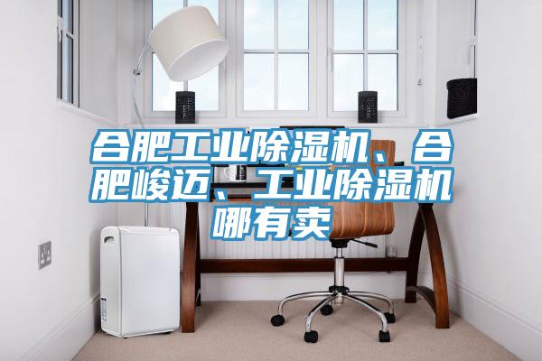 合肥工業(yè)除濕機(jī)、合肥峻邁、工業(yè)除濕機(jī)哪有賣