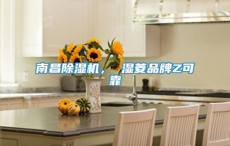 南昌除濕機， 濕菱品牌Z可靠