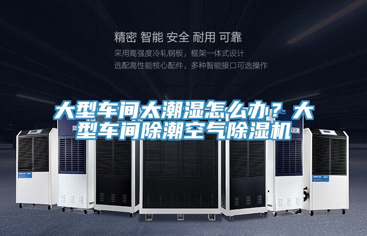 大型車間太潮濕怎么辦？大型車間除潮空氣除濕機
