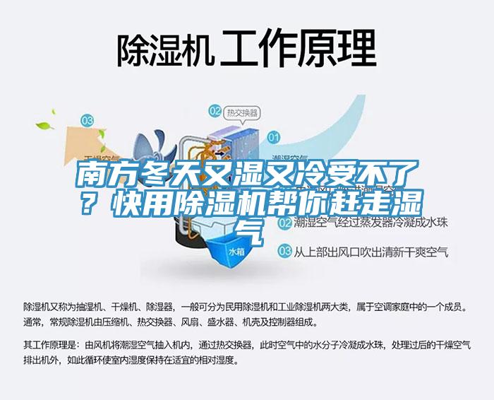 南方冬天又濕又冷受不了？快用除濕機幫你趕走濕氣