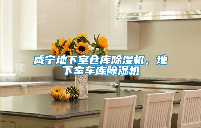 咸寧地下室倉(cāng)庫(kù)除濕機(jī)，地下室車(chē)庫(kù)除濕機(jī)