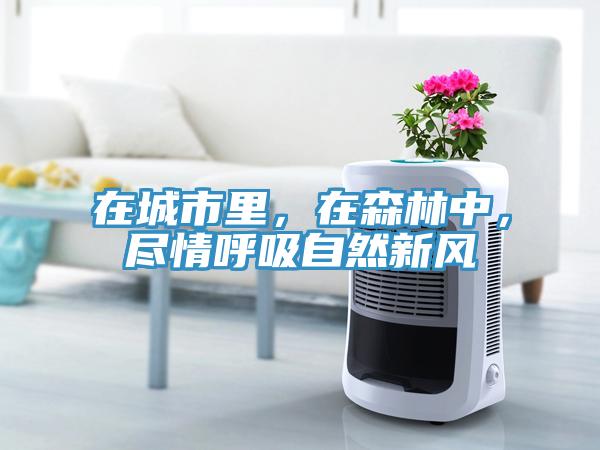 在城市里，在森林中，盡情呼吸自然新風